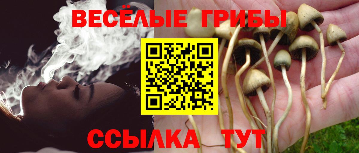Псилоцибиновые грибы Psilocybine cubensis Новомосковск