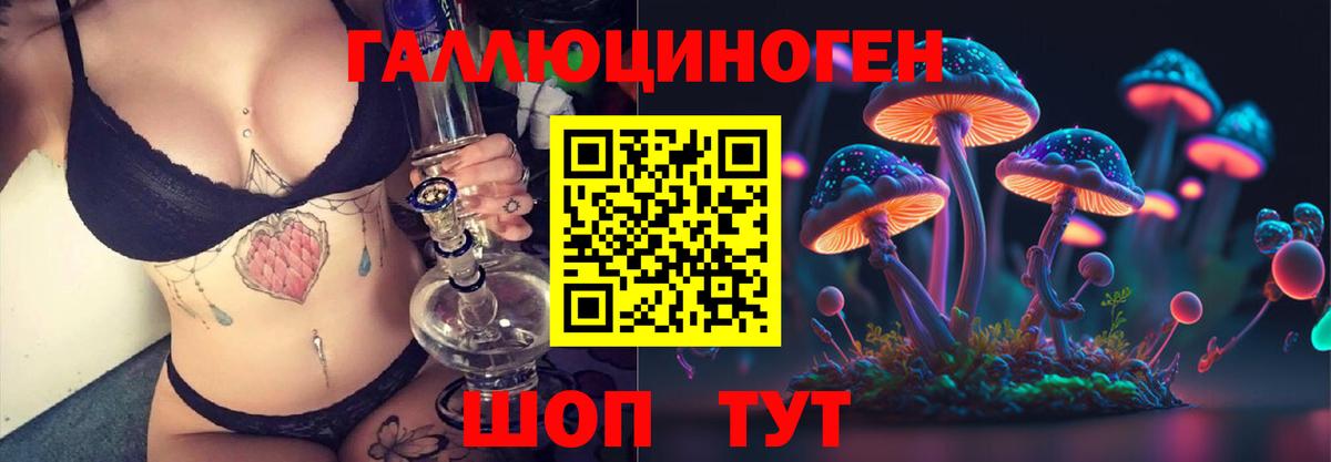 Новомосковск  Псилоцибиновые грибы GOLDEN TEACHER  Вход с VPN  Галлюциногенные грибы прущие грибы 